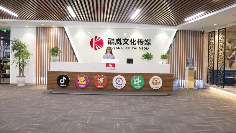 公关传播策划案例范文：实战解析与关键要素