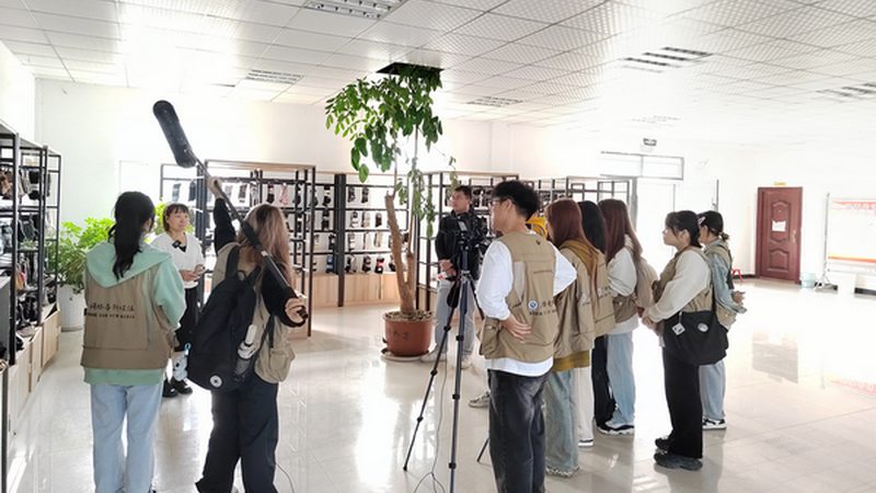 纪录片拍摄手法分类介绍：探寻影像艺术的多样表达