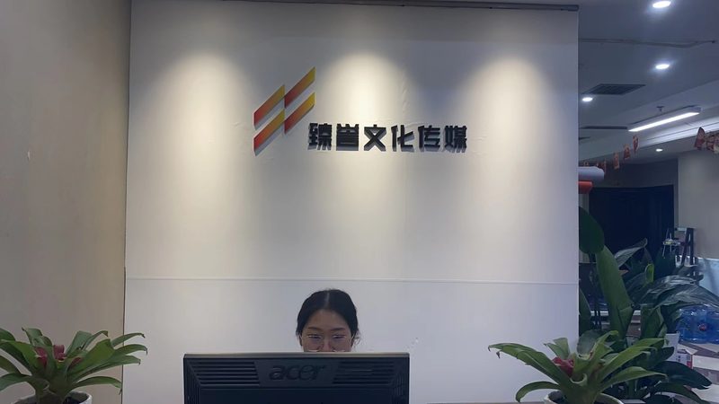 品牌策划与VI设计打包报价：揭秘背后的价值与考量